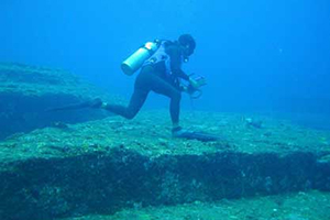 kayip-kita-mauritia-bulundu_224054